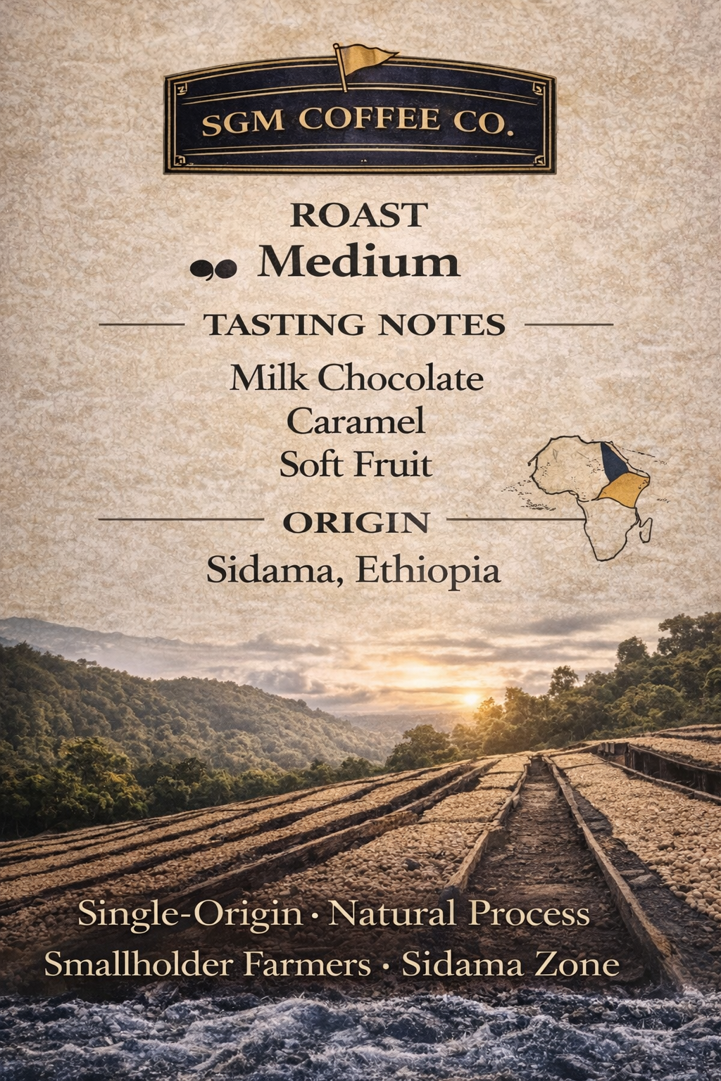 PILOTS — Medium Roast Coffee